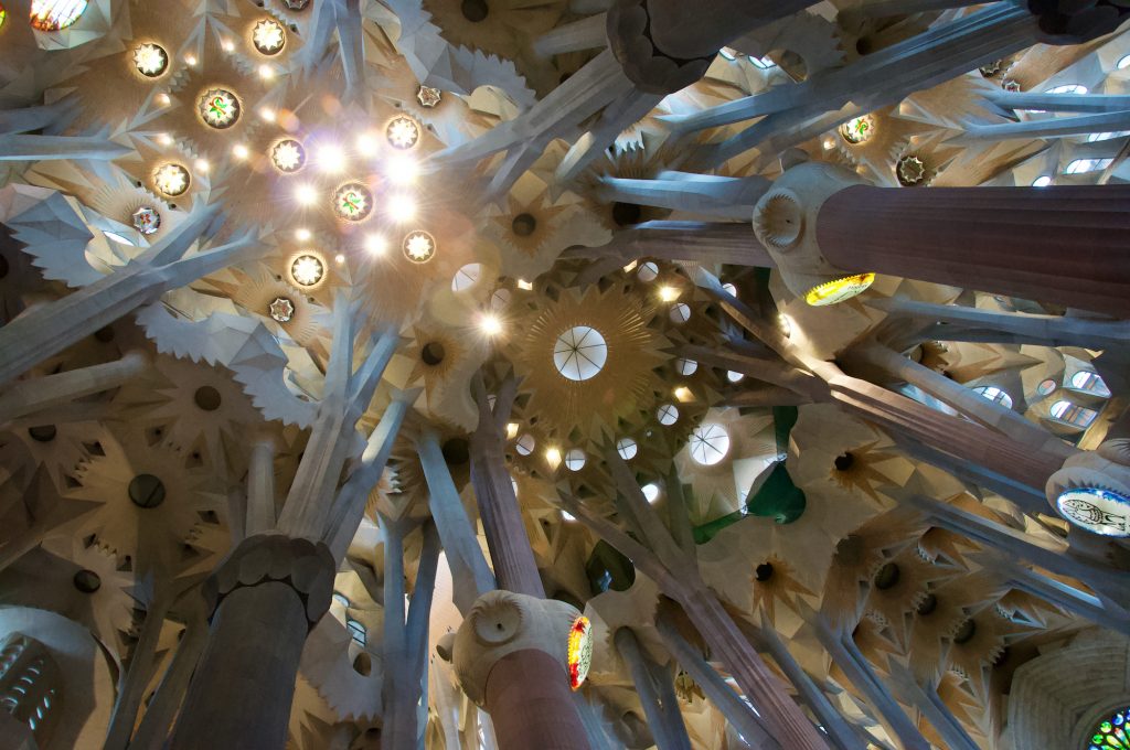 Looking upwards at the nave vault (photo, Jamie Henderson 2011)